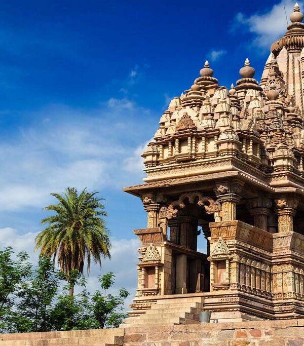 30 Day Hatha Ashtanga Yoga Course in India