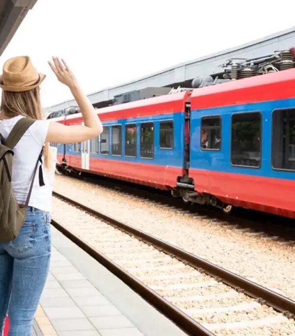 日本語女性ガイド同行 列車で行くタージ・マハル1日ツアー