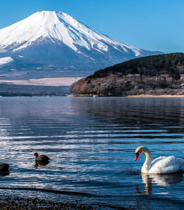 5 Best Mount Fuji Japan Tours | No.1 Itinerary for Travelers
