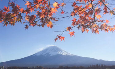 5 Best Japan Holiday Packages | No.1 Ranked Itinerary