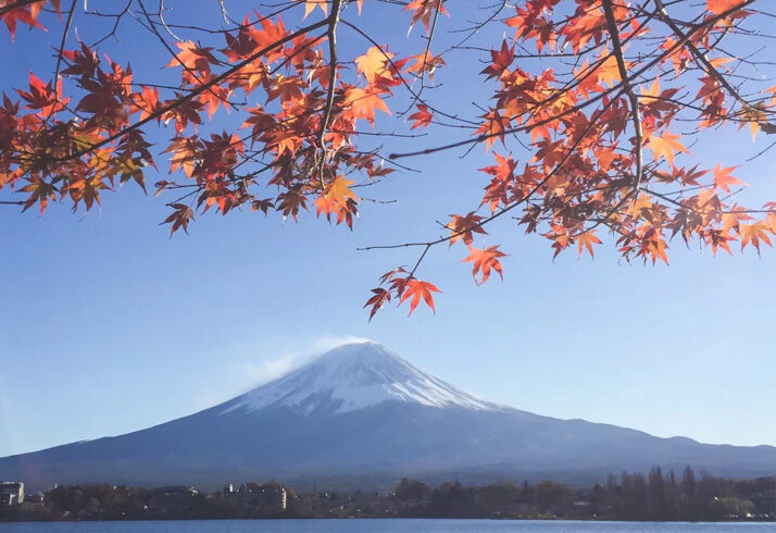 5 Best Japan Holiday Packages | No.1 Ranked Itinerary