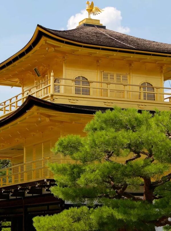 9 Days Japan Tours From India Ultimate Japan Holiday Package by ASAHI INDIA TOURS featuring Tokyo, Mount Fuji, Hakone, Yokohama, Kyoto, Nara, Osaka and Hiroshima
