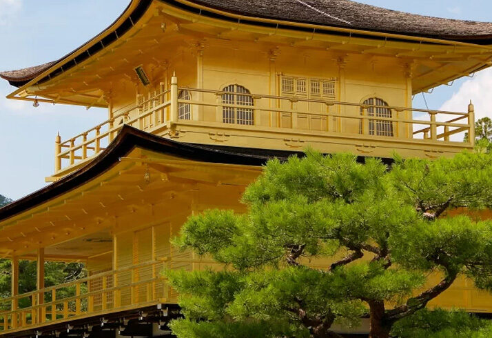 5 Best Mount Fuji Japan Tours | No.1 Itinerary for Travelers