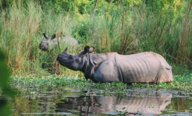 6 Days Kathmandu Valley Cultural & Spiritual Tour