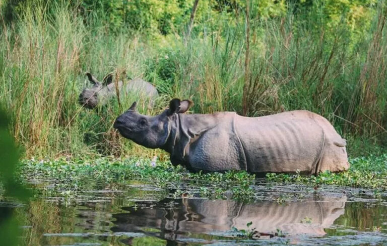 6 Days Kathmandu Valley Cultural & Spiritual Tour