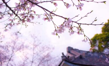 15 Day Japan Holidays Tokyo Osaka Kyoto Hiroshima & Mount Fuji