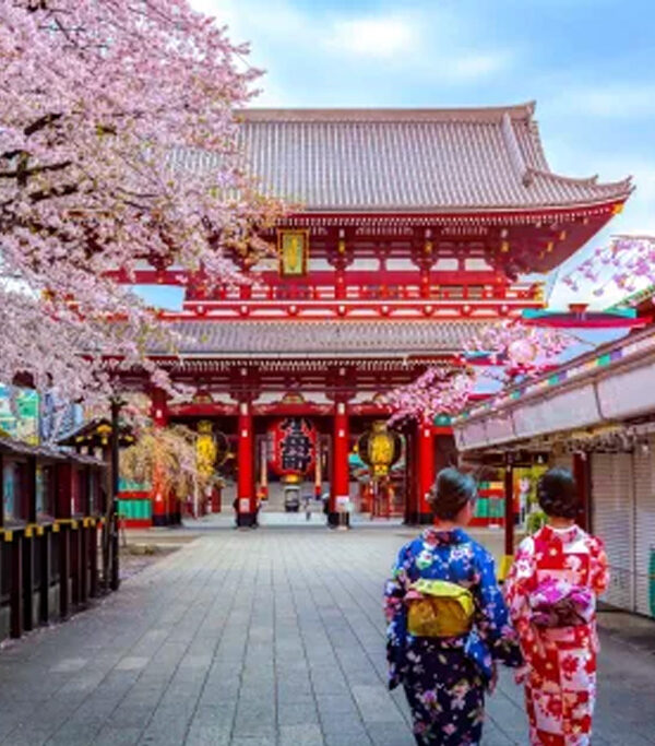 Best 7 Day Trip to Japan Okinawa Sapporo Tokyo