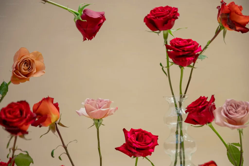 2028 世界バラ会議 インド・ボパール（World Rose Convention 2028）の会場・バラ園・MICE・インドツアー・視察・ビジネスサポートを提供するASAHI INDIA TOURS